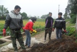 Giúp nông dân dùng rơm rạ ủ thành phân compost